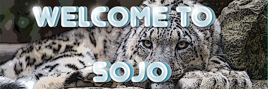 Peterson Lucas Sojo Banner